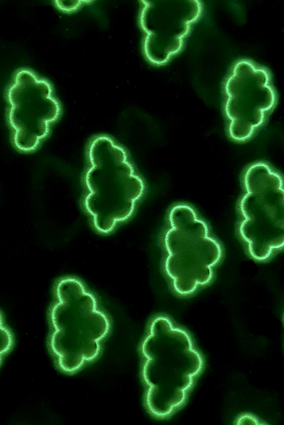 Komplet_Kocyk_Poduszka_Chmurki_swiecacy_w_ciemnosci